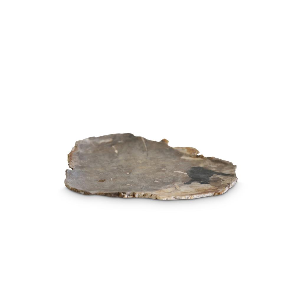 Petrified Wood Tray by Objects - exhibit by aberson