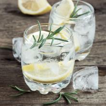 Image of Spicy Gin Cocktail with Rosemary and Pineapple 