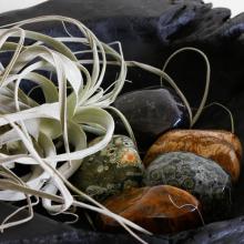therapy stone, air plant, black tray