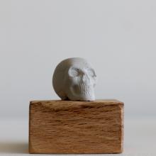 skull on wood