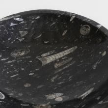 Orthoceras Bowl Large by Objects