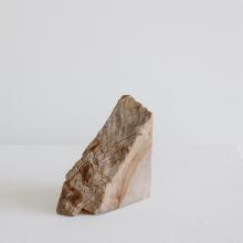 Petrified Wood Bookends by Objects
