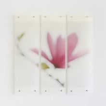 Magnolia, No.10 by Jeri Eisenberg