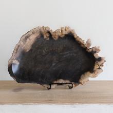 Petrified Tray by Accessories