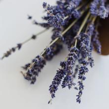 Mini Tea Tube Lavender Earl Grey by Kitchen