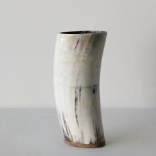 Horn Vase by Accessories