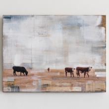 Cows & Plains by JC Spock