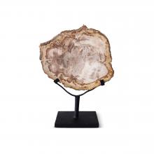Petrified Wood Slab on Stand by Objects