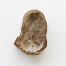 Small Petrified Wood Dish by Objects