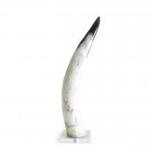 Black and White Cow Horn on Base Medium  by Objects