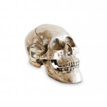 Silvery Skull Large by Objects