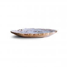 Small Petrified Plate by Objects